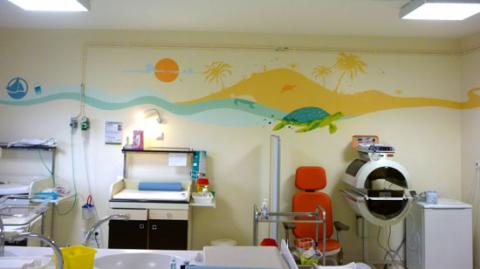 Des fresques murales pour les nurseries du centre hospitalier de Troyes